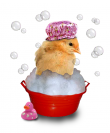 Crotte de poule - bijoux - poussin- Bulles et pschiiit